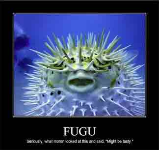 Illustration for article titled FUGU ME!